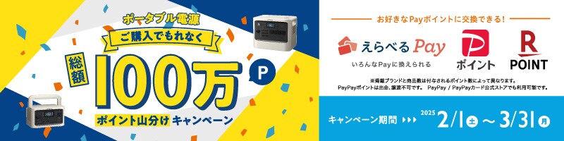 ポータブル電源ご購入でもれなく総額100万ポイント山分けキャンペーン　お好きなPayポイントに交換できる！　えらべるPay　いろんなPayに換えられる　PayPayポイント　RakutenPOINT　※掲載ブランドと商品数は付与されるポイント数によって異なります。PayPayポイントは出金、譲渡不可です。PayPay / PayPayカード公式ストアでも利用可能です。　キャンペーン期間　2025 2/1（土）～3/31（月）
