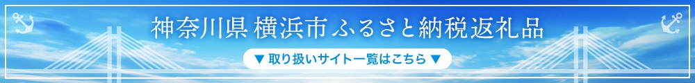 ha-np35t 横浜市 ふるさと納税返礼品 取り扱いサイト一覧はこちら