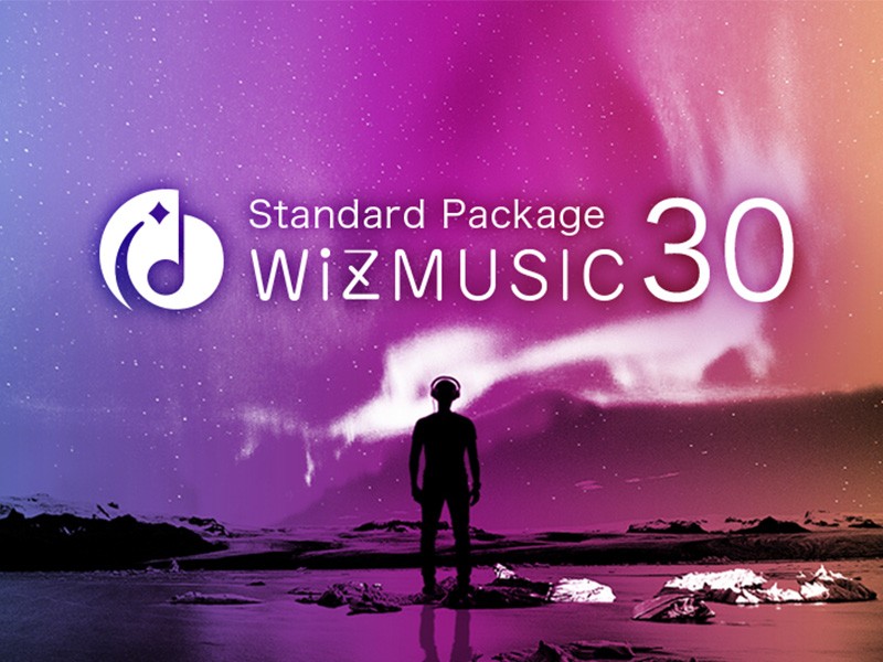 Standard Package WiZMUSIC 30