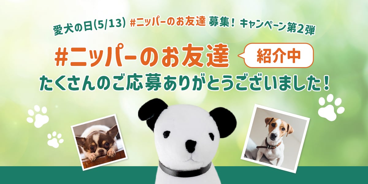 愛犬の日（5/13）#ニッパーのお友達 募集！キャンペーン第2弾 #ニッパーのお友達 紹介中 たくさんのご応募ありがとうございました！