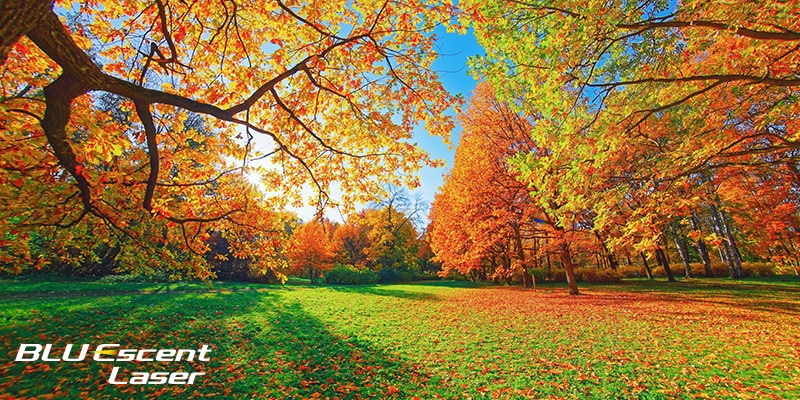 BLU Escent Laser