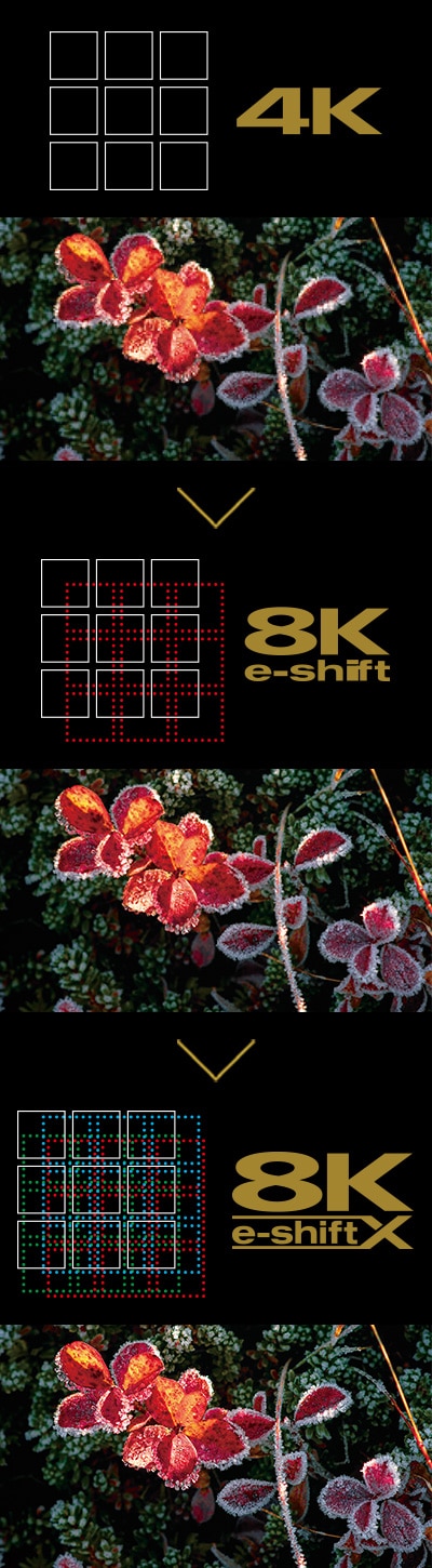 4K→8K e-shift→8K e-shiftX