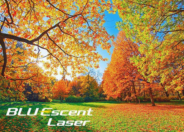 BLU Escent Laser