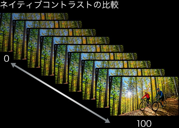 ネイティブコントラストの比較 0⇔100
