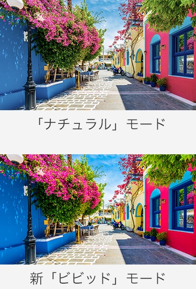 「ナチュラル」モード 新「ビビッド」モード