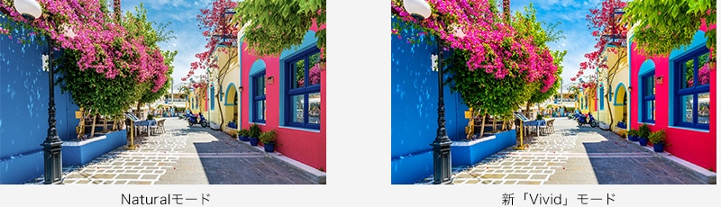 Naturalモード 新「Vivid」モード